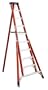 Werner FTP6210 300-Pound Duty Rating Fiberglass Tripod Ladder, 10-Foot