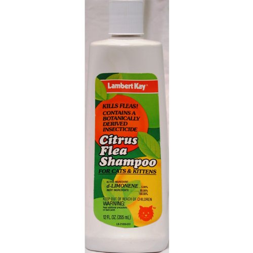 Lambert KAY Citrus Flea Shampoo Cat 12oz