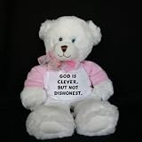 Plush White Teddy Bear (Dena) toy with God is clever, but not
dishonest.