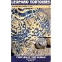 Leopard Tortoise: The Natural History, Captive Care, and Breeding of 'Stigmochelys pardalis' (Turtles of the World, Testudinidae, Number 4)
