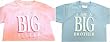 I'm a Big Sister T-shirt - Pastel Pink
