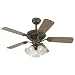 Westinghouse 7211600 Maple Grove Three-Light 44-Inch Five-Blade Ceiling Fan, Spanish Bronze with Frosted Globes