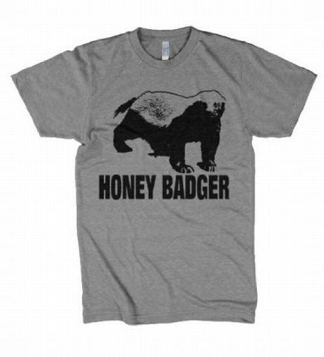 “HONEY BADGER” Grey/Gray Mens T-SHIRT! Animal Web Video Hit Funny Graphic! Small, Extra Large, XXL and XXXL in Stock!