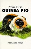Your First Guinea Pig (Your First Pet)
