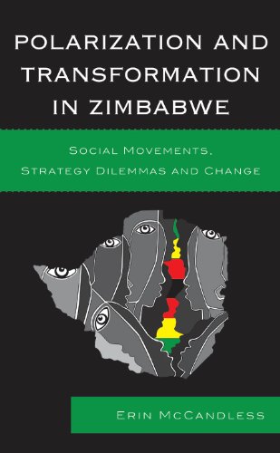 Polarization and Transformation in Zimbabwe: Social Movements, Strategy Dilemmas and Change