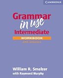 Grammar in Use Workbook with Answers