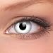 1 DAY USE Whiteout Contact Lenses Halloween