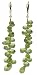 14k Gold Filled Peridot Dangle Earrings