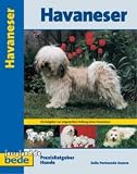 Praxisratgeber Havaneser