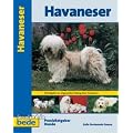 Praxisratgeber Havaneser