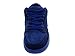 Nike Men's Dunk Low Premium SB Skate Shoe