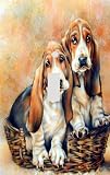 Wall Plates: Basset Hounds Decorative Switchplate Cover