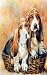 Basset Hounds Decorative Switchplate Cover
