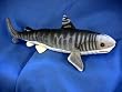 Tiger Shark with Beans 17" Long