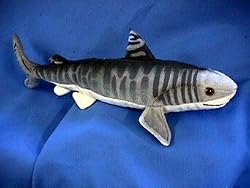 Tiger Shark with Beans 17" Long