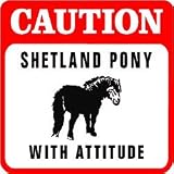 CAUTION: SHETLAND PONY COUNTRY horse sign