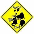 PANDA BEAR CROSSING sign * street zoo china