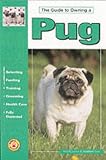 Guide to Owning a Pug (Re Dog)