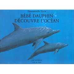 B�b� dauphin d�couvre l'oc�an