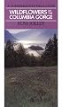 Wildflowers of the Columbia Gorge: A Comprehensive Field Guide (Jack Murdock)