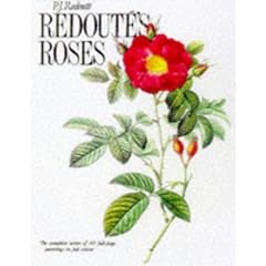 Redoute Roses