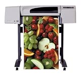 HP Designjet Laser Printer- With Legs