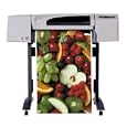 HP Designjet 500 42 inch Roll Printer (C7770B) by Hewlett Packard