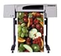 HP Designjet 500 42-inch Roll Printer (C7770B)