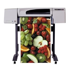 HP Designjet Laser Printer- With Legs by Hewlett-Packard