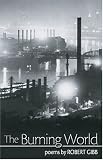 Burning World (University of Arkansas Press Poetry Series)