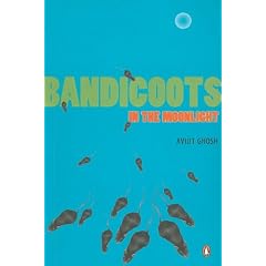 Bandicoots in the Moonlight
