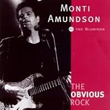 Obvious Rock