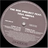 Never (incl. DJ Tiesto/J. C. A. & Filterheadz Remix, feat. Tina Arena) [VINYL]