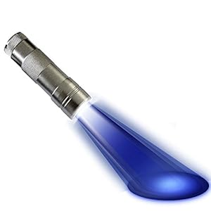 #1 Black Light Flashlight UV Urine Detector ★Ultra Bright Pet Stain Finder - The Ultimate UV Flashlight Black Light- 12 UV Blacklight LEDs in Shock-proof Aluminium Casing for Detecting Dry Pet Dog-Cat-Rodent Urine Stains on Carpet, Rugs, Curtains & Furniture Fabrics That are Otherwise Invisible to the Naked Human Eye Guaranteed - (3) AAA Alkaline Batteries Required- Lifetime Guarantee - Divine LEDs