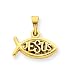 14k Ichthus Fish Charm title=