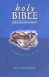 Bible: New International Version (Bible Niv)