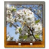 Branches Zen Flowering Tree Flowers - 6x6 Desk Clock