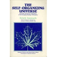 The Self-organizing Universe (SSWOL)