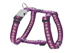 Red Dingo Designer Dog Harness, Small, Daisy Chain Purple
