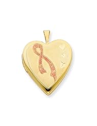1/20 Gold Filled 20mm Enameled Awarness Heart Locket - Chain Included