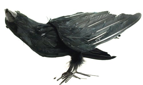 Season's Designs Halloween Decor 12-Inch Black Crow