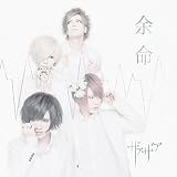 余命通常盤 Type B