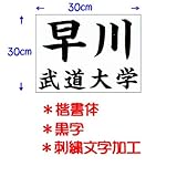 ��N�i�N�T�N���j���������p�_���[�b�P���i�h�J�������H�j30�~30cm ������ ���� JT53030KAB