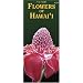 Flowers of Hawaii (Hawaii Pocket Guides)