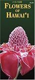 Flowers of Hawaii (Hawaii Pocket Guides) (Hawaii Pocket Guides)