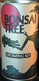 41973EXTT8L. SL160  Bonsai Tree Growing Kit