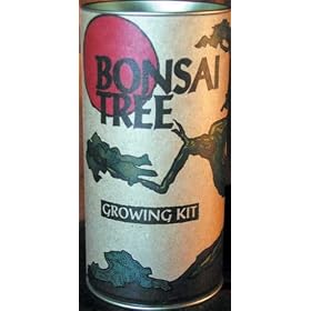Bonsai Tree Growing Kit