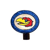 Kansas Art Glass Nightlight