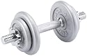 Royalbeach Gusseisen Hantelset 1 x 10 Kg inkl. Koffer