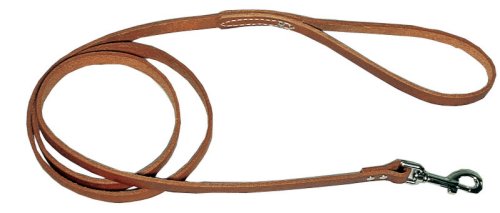 Leather Lead - 5/8 in. x 6'